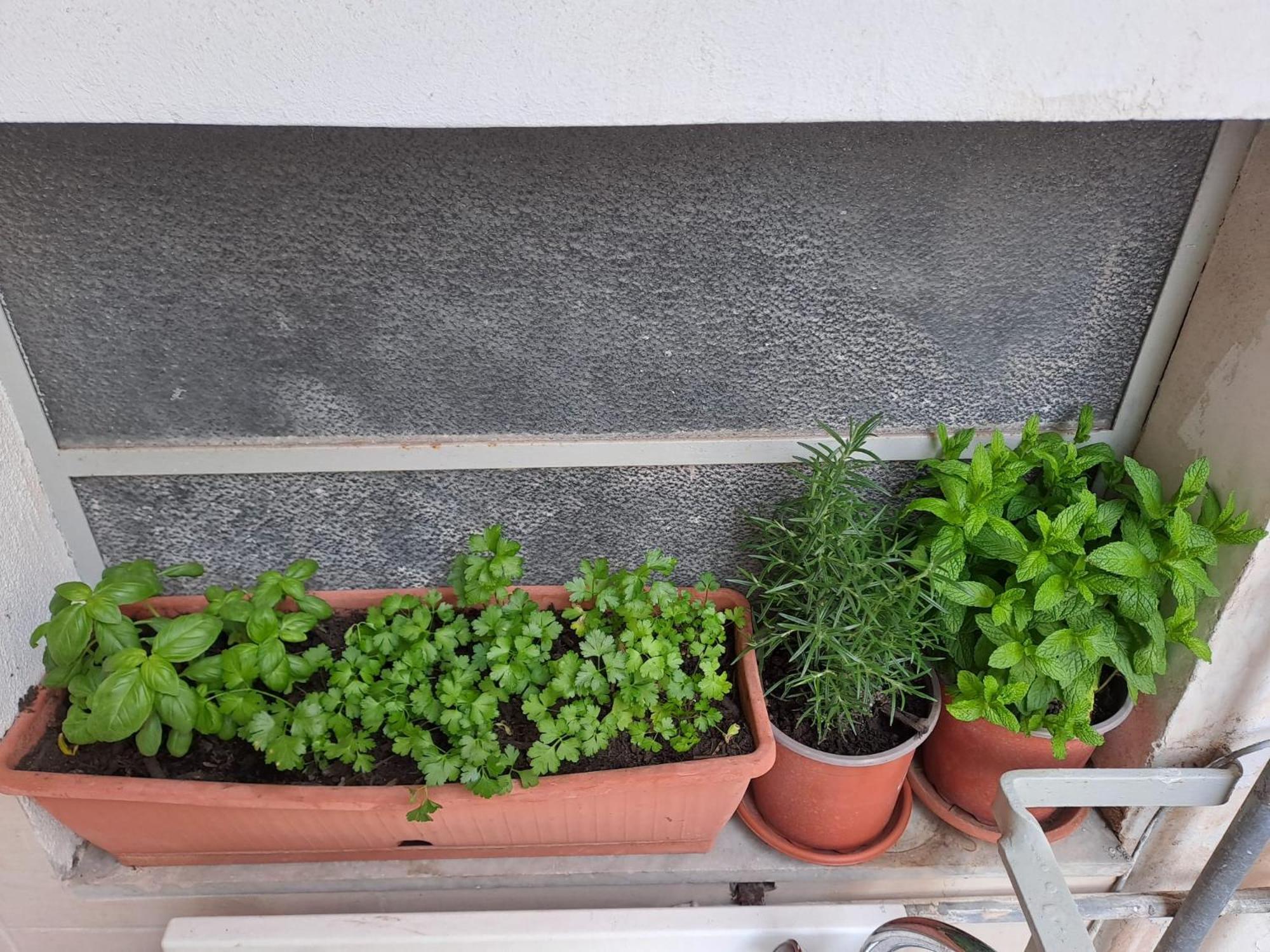 B&B Domus Pina Catania Ngoại thất bức ảnh