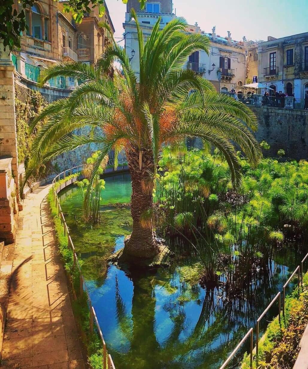 B&B Domus Pina Catania Ngoại thất bức ảnh